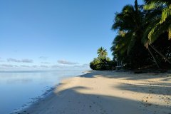 Local beach